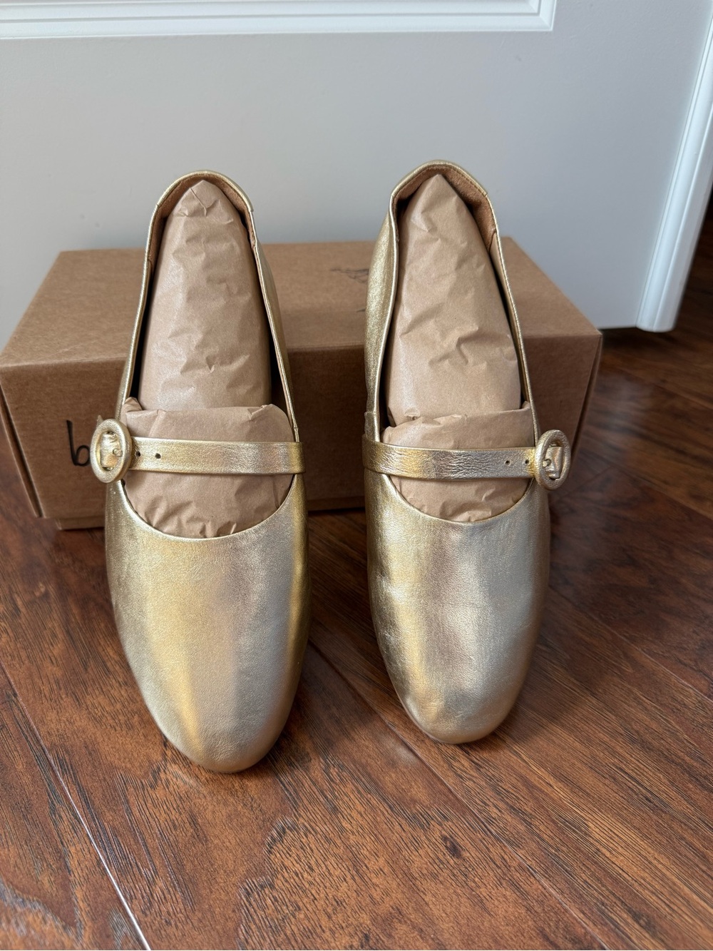 NEW IN BOX, Beek Crane Mary Jane in Gold, Size 8